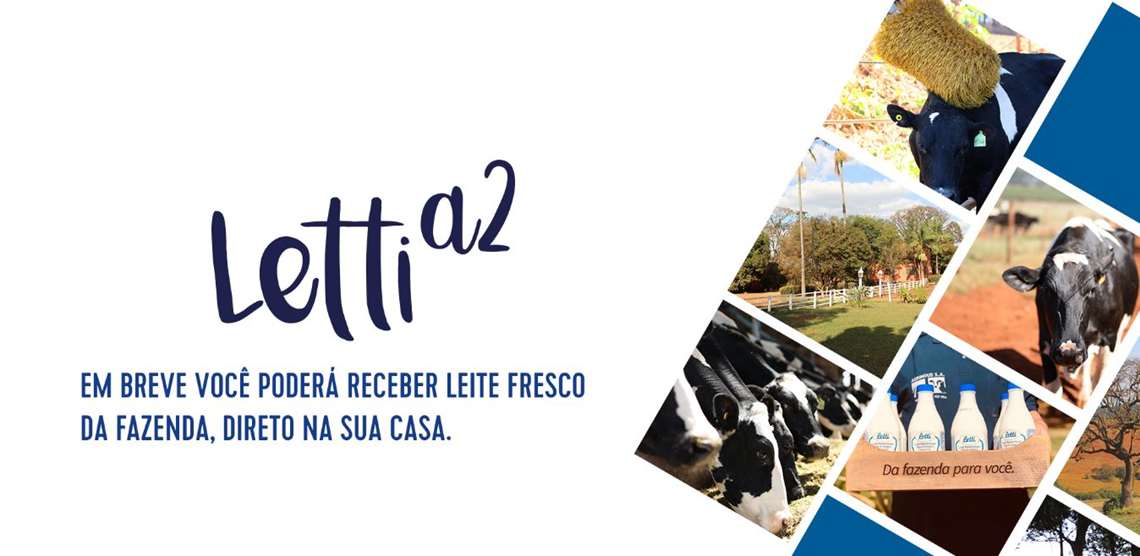Leite Letti lança e-commerce para venda de leite e derivados para o consumidor