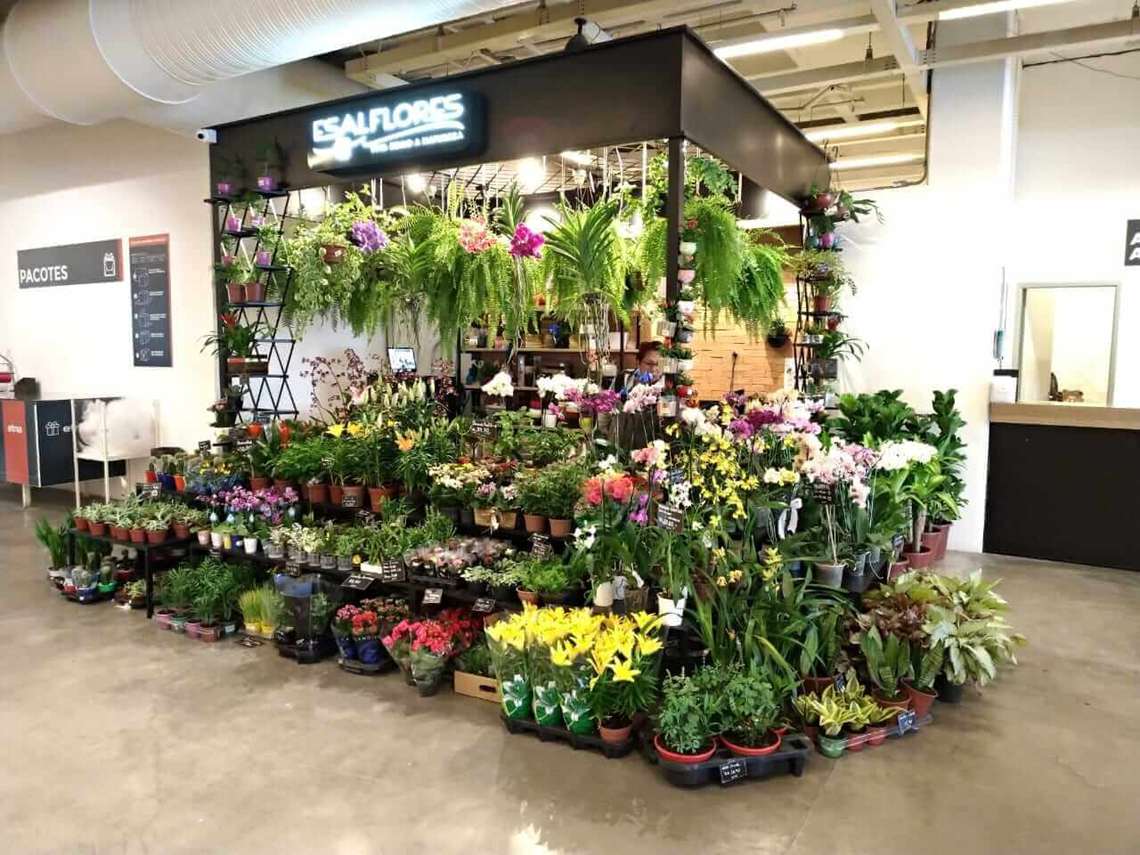 Modelo store in store ganha força no Brasil