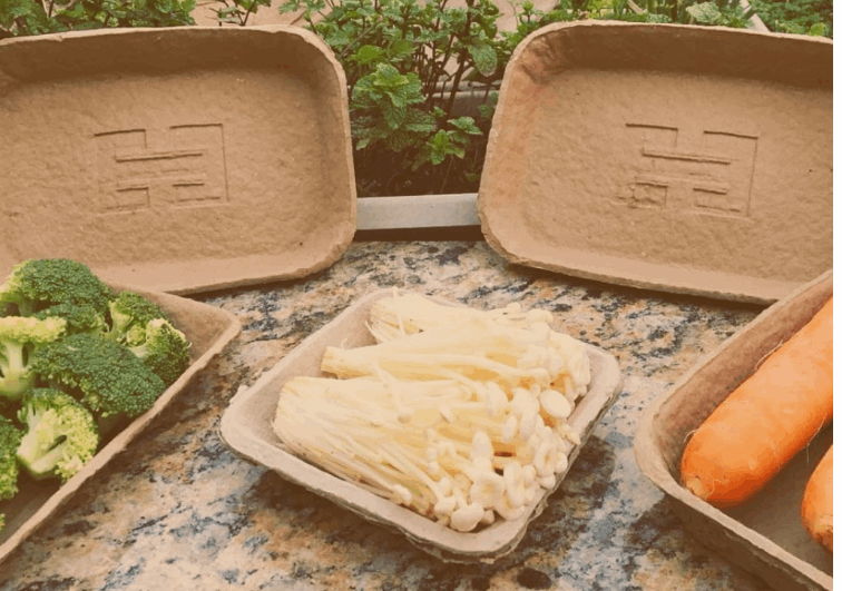 GPA investe em bandejas sustentáveis para itens de marcas próprias