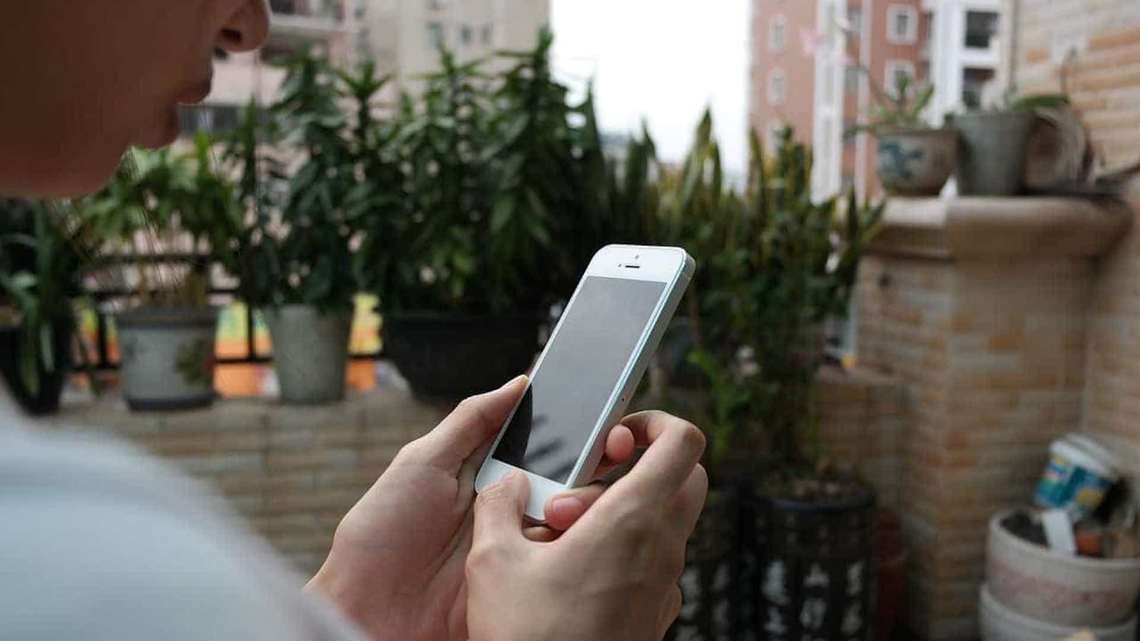 Brasileira cria aplicativo para doação de alimentos que seriam descartados