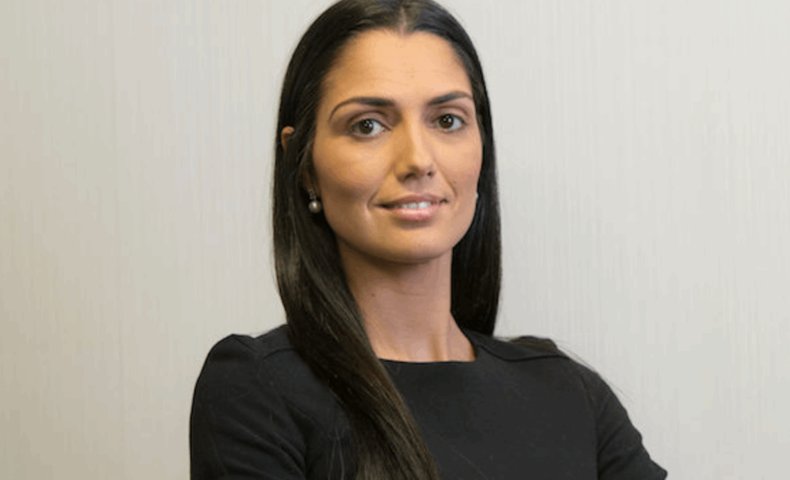 Um panorama sobre o franchising transcontinental