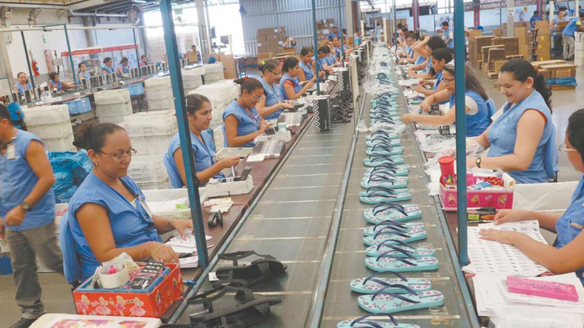 Lucro líquido da Grendene registra 495 milhões de reais em 2019