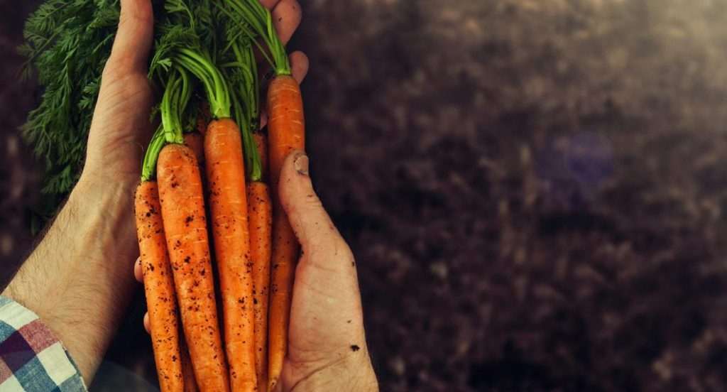 Grupo Carrefour Brasil divulga seu Relatório de Sustentabilidade 2019