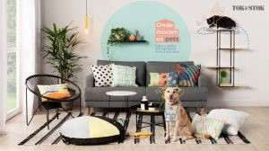 Tok&Stok lança linha de produtos destinados a animais de estimação