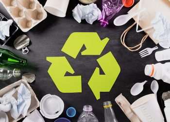 Estudo mostra as atitudes sustentáveis que os clientes esperam das empresas