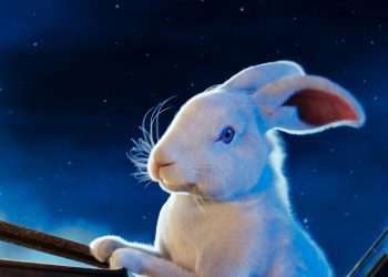 Lacta relança marketplace de Natal e campanha #PapaiNoelFicaEmCasa