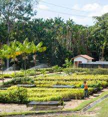 Vale cria diretoria executiva exclusiva para a área de Sustentabilidade