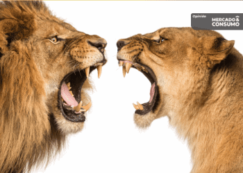 O duelo de titãs travado no Brasil pelo mercado dos marketplaces digitais