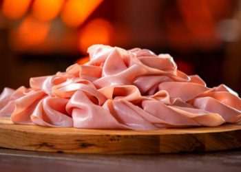 Seara lança nova categoria de produtos