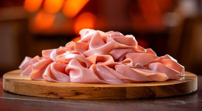 Seara lança nova categoria de produtos