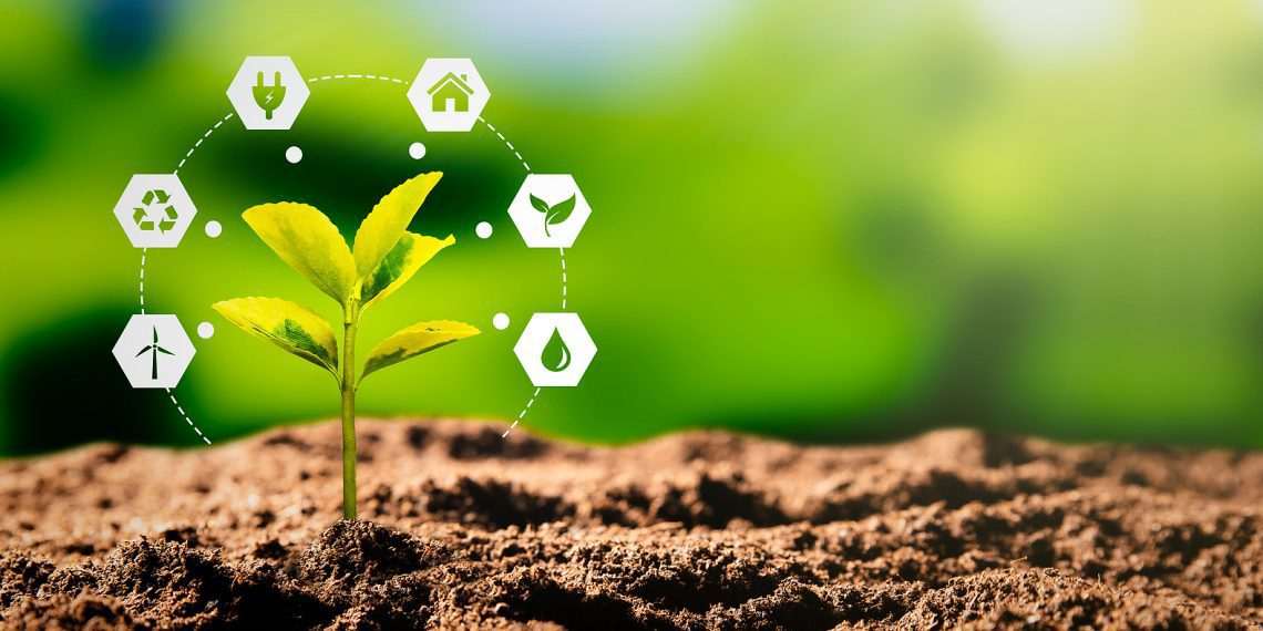 LDC anuncia colaboração com The Nature Conservancy para promover agricultura regenerativa