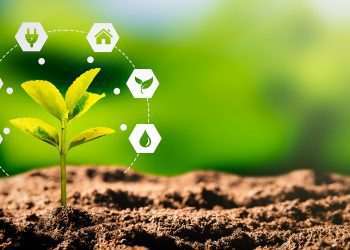 LDC anuncia colaboração com The Nature Conservancy para promover agricultura regenerativa