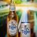 Cerveja Tiger é nova aposta da Heineken no mercado brasileiro puro malte
