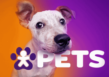 Vivo entra no mercado pet e começa a vender de coleira a bebedouro