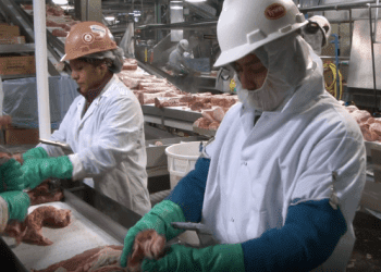 Tyson Foods investe US$ 300 milhões em unidade de alimentos preparados