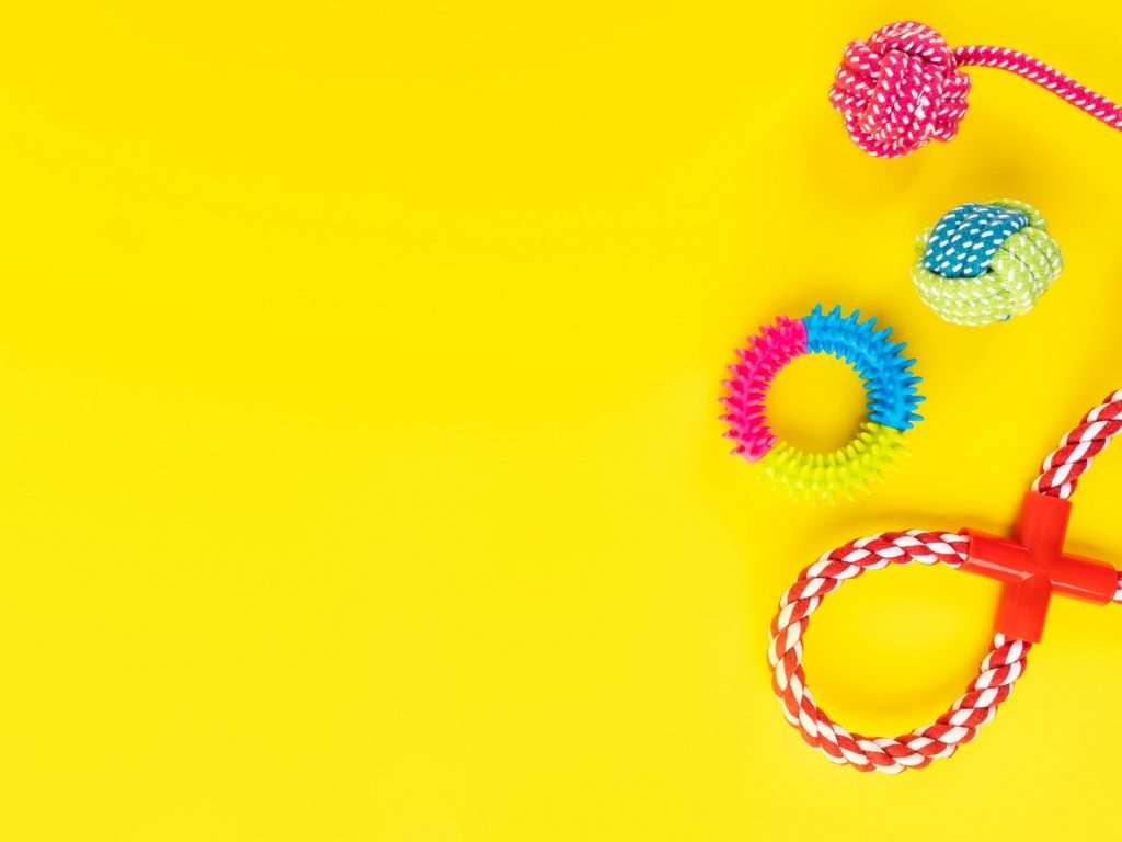 Aquisição da Zee Dog representa globalização da Petz, diz CEO da empresa