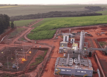 Raízen, sociedade entre Cosan e Shell, levanta R$ 6,9 bi e faz maior IPO do ano