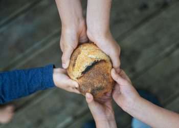 Empresários e ONGs se unem em busca de medidas de combate à fome