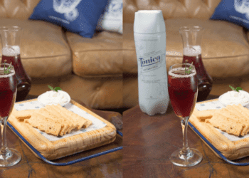 Tônica Antártica cria delivery de drinks com releituras de clássicos