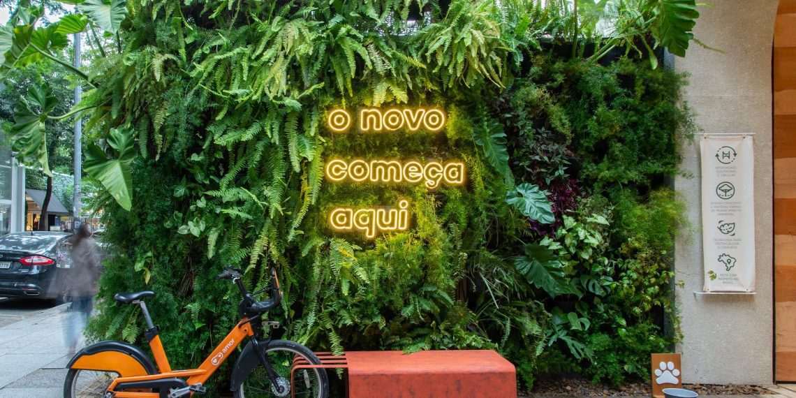 Alme ganha loja ecológica e promove experiência que vai além do consumo