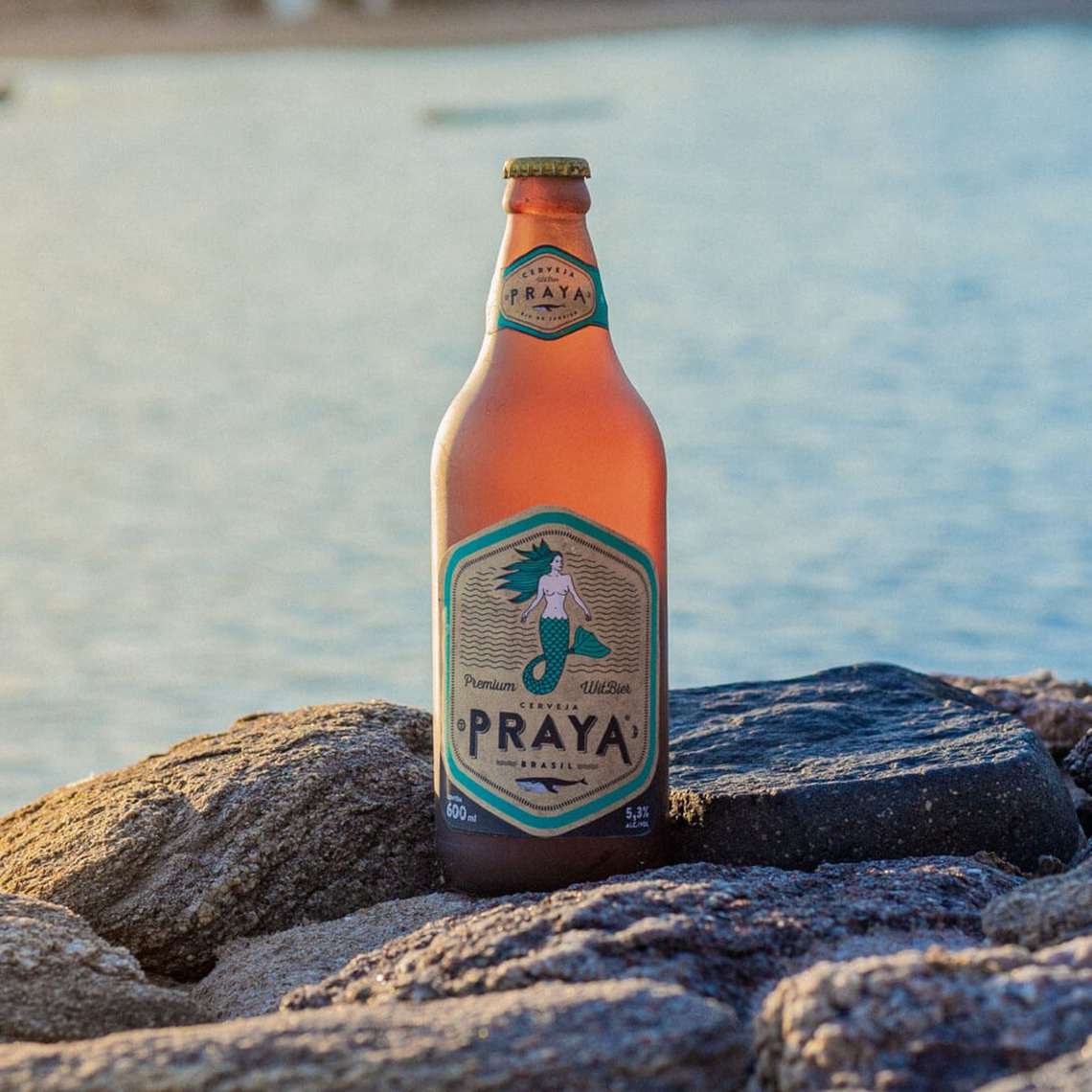 Americanas S.A. lança plataforma com produtos sustentáveis certificados