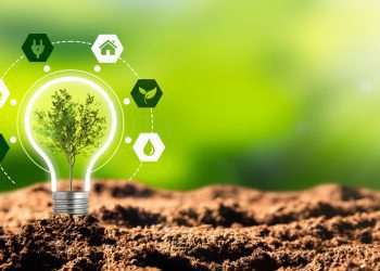 Basf anuncia criação de subsidiária para atividades de energia renovável