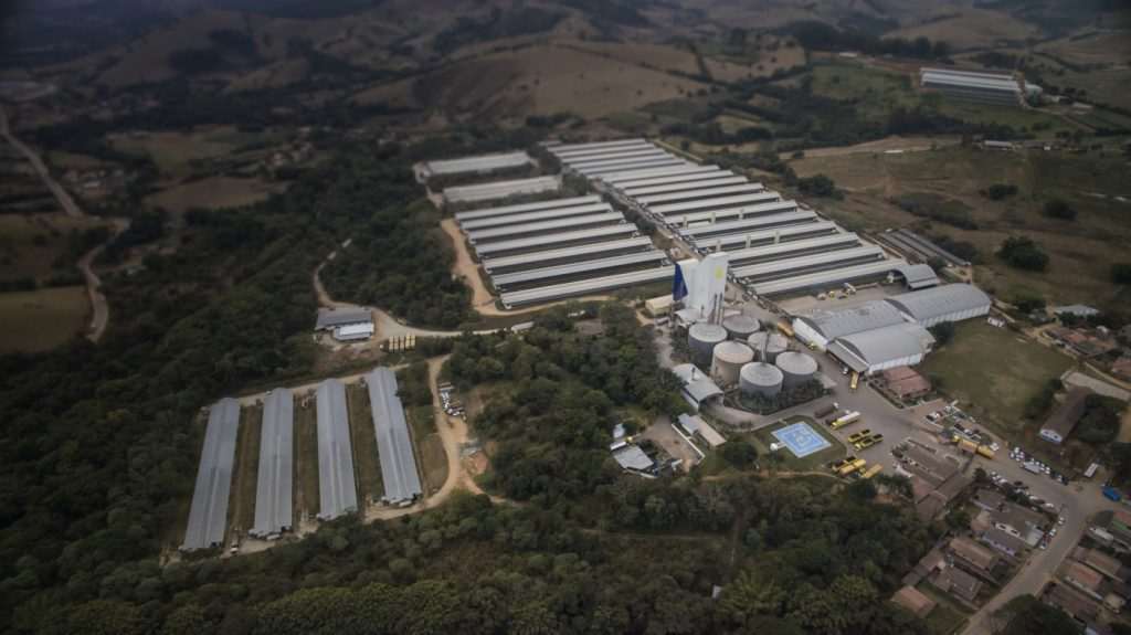 Grupo Mantiqueira inaugura lojas de ovos em São Paulo