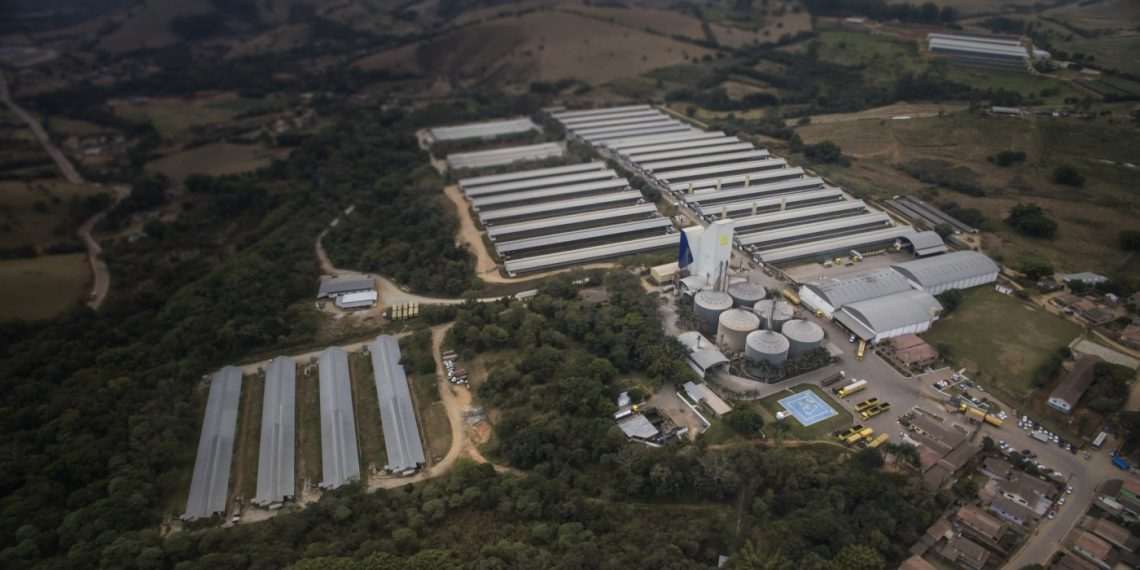 Grupo Mantiqueira inaugura lojas de ovos em São Paulo