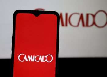 Camicado