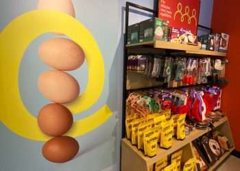 Aquisição de 50% da Mantiqueira pela JBS é aprovada pela Superintendência do Cade