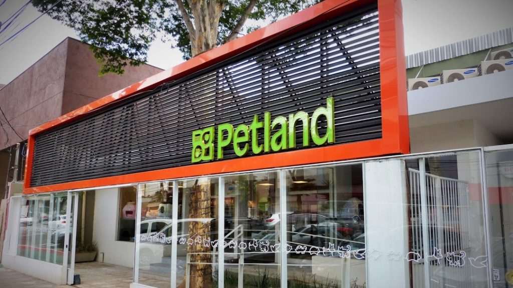 Petland&CO investe em retrofit para ampliar número de franqueados