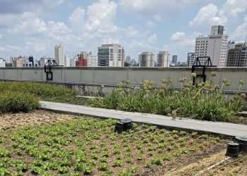 Shopping Parque da Cidade implementa Horta Social Urbana