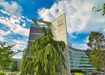 Nestlé abre inscrições para contratar fornecedores com foco em sustentabilidade