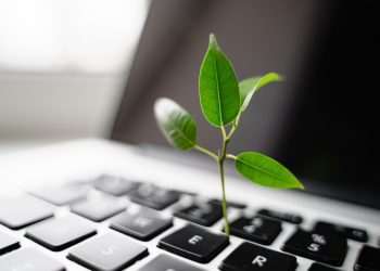 Z11 leva ESG para as empresas na prática, para além da sopa de letrinhas