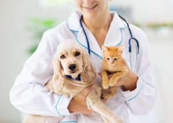 fundadores-do-sao-luiz-voltam-ao-setor-de-saude-com-hospital-para-pets