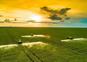 Plano Safra terá mecanismos para que Estados diversifiquem sua produção, afirma Haddad