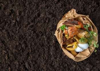 ESG, a gestão do foodservice mais profunda e amplificada