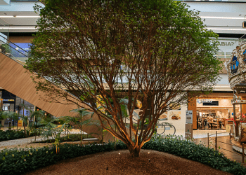 ESG: life center Shopping Parque da Cidade prova que varejo e sustentabilidade caminham juntos