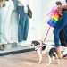 Nove em cada dez shoppings adotam ambientes pet friendly