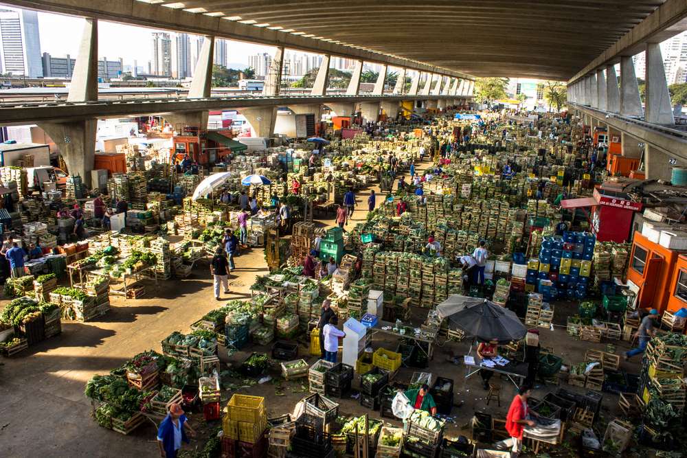 resultado ocorreu, principalmente, pelo faturamento de R$ 1,430 milhão em armazenagem