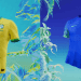 Brahma e Nike lançam vídeos para despolitizar a camisa da seleção brasileira