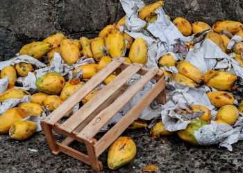 Ambev lança projeto para diminuir desperdício em bares e restaurantes