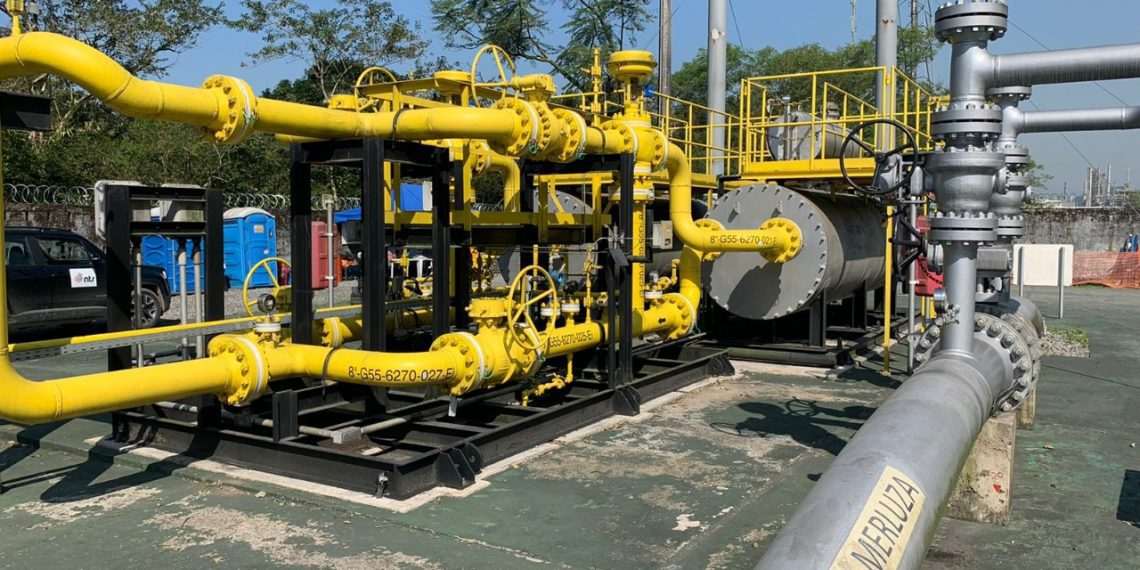 NTS anuncia investimentos de R$ 12 bilhões em 8 anos