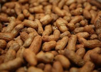 amendoim brasil china