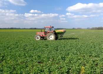 Grupo Sinagro inaugura 7 lojas no Cerrado e prevê alcançar 62 unidades em 2022