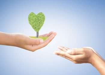 Como descobrir a causa da sua marca?