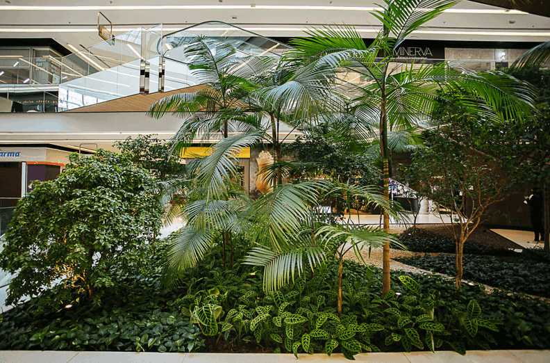 Shopping Parque da Cidade investe forte em sustentabilidade