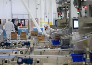 Mars investe em inteligência de dados para espalhar "fábricas do futuro" pelo mundo