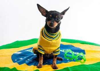 Copa do Mundo movimenta comércio popular no Brás e fluxo de consumidores bate recorde