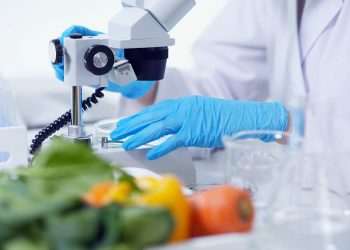 Foodtech: o melhor caminho é integrado ou solo?